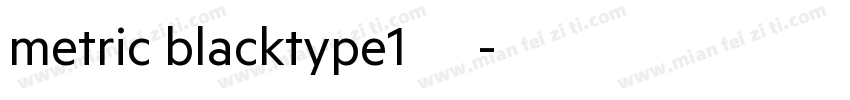 metric blacktype1西方字体转换